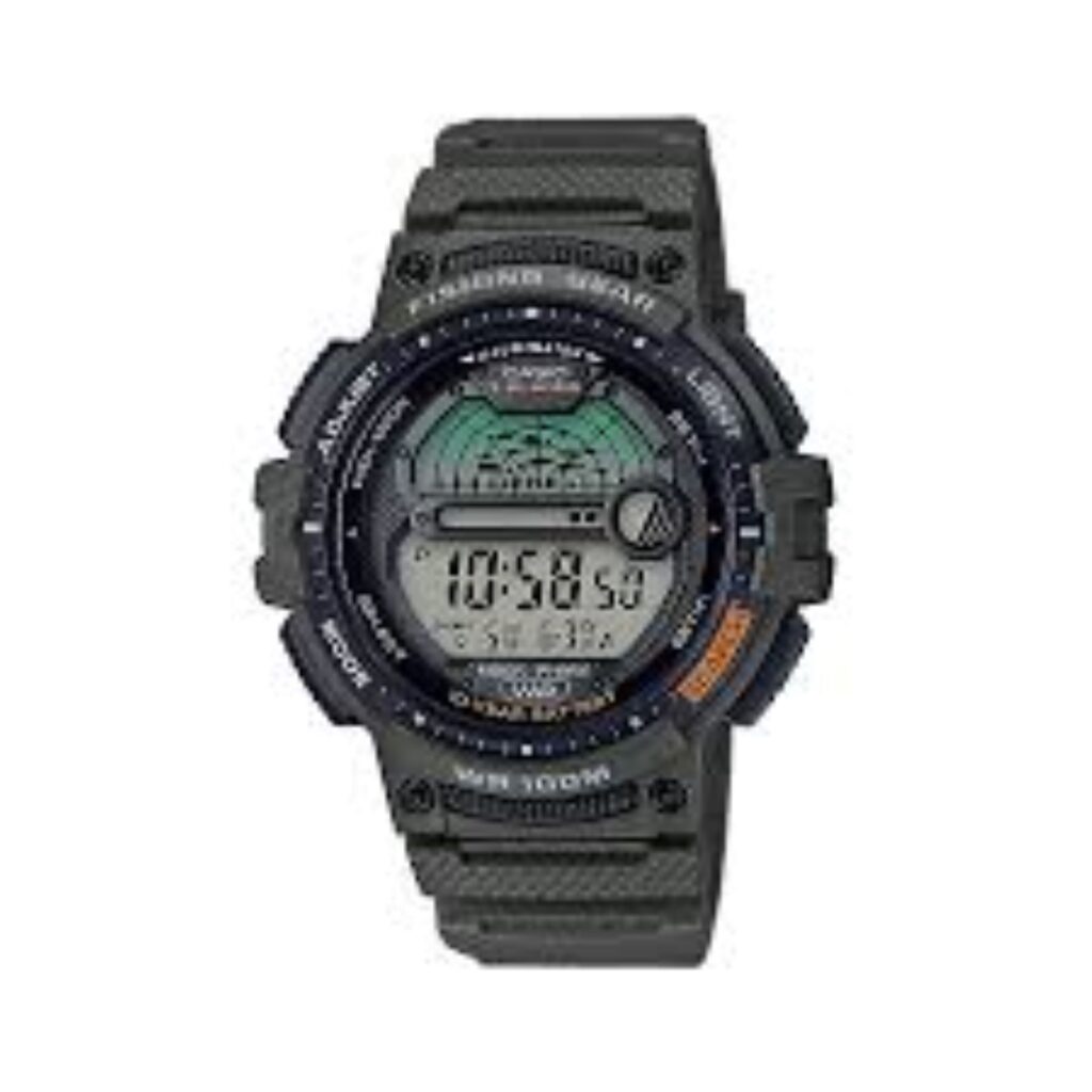 Casio ws-1200h-3avef