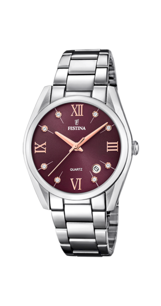FESTINA F16790/E