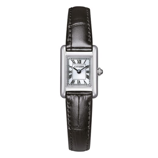 Citizen Kii Eco Drive eg2790-12a