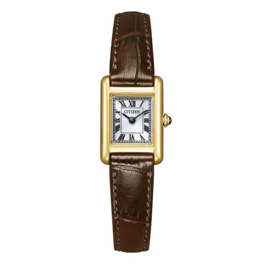 Citizen Kii Eco Drive eg2797-13a